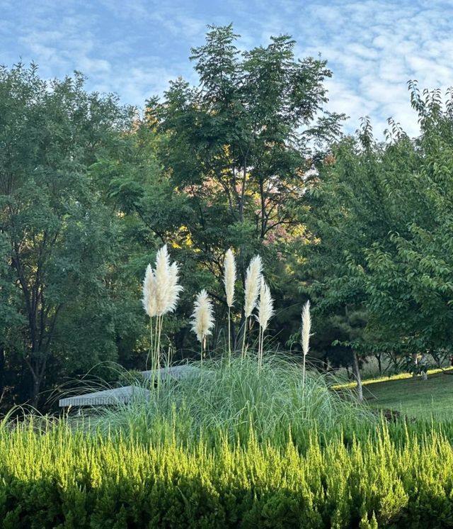 西安免費寶藏公園｜世博園。