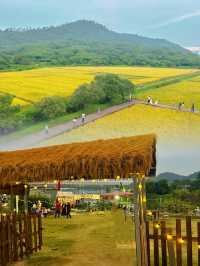 逃離都市喧囂，一起追逐田野的自由風。
