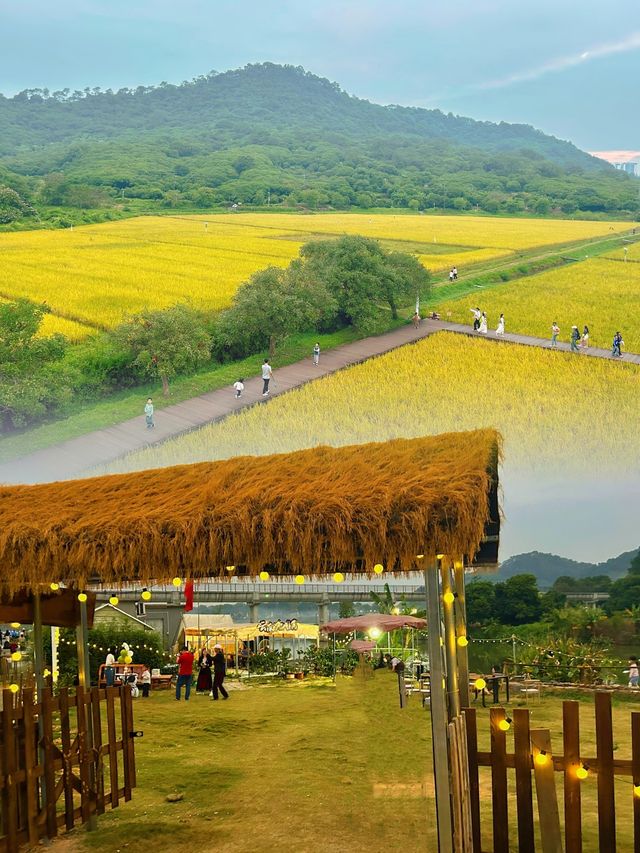 逃離都市喧囂，一起追逐田野的自由風。