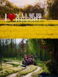 嘉興平湖 | 楓舞秋韻夢幻打卡地。