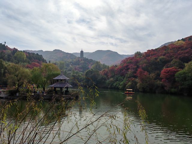 來紅葉谷，體味最美的秋。