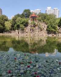 勞動公園。