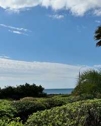 濟州島 Haevichi 度假村：一場與大自然相擁的奢華之旅。