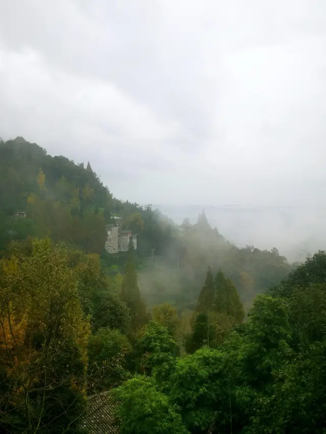 Ya'an Mengding Mountain. 