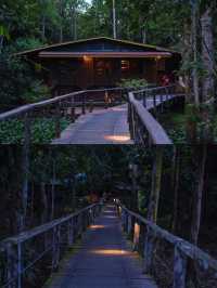 寶藏小城山打根｜一趟奇幻之旅。