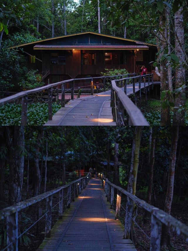 寶藏小城山打根｜一趟奇幻之旅。