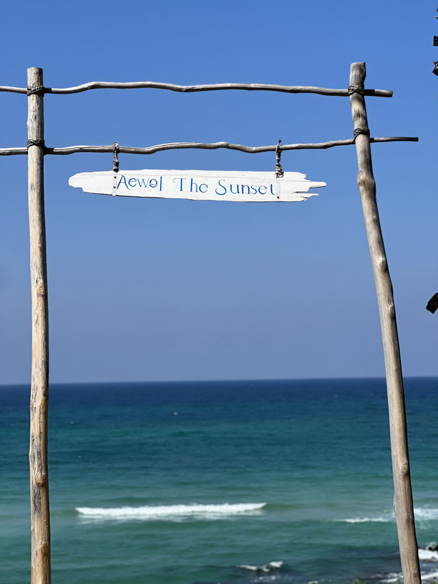 Discover My Favorite Coffee Shop in Aewol, Jeju Island!