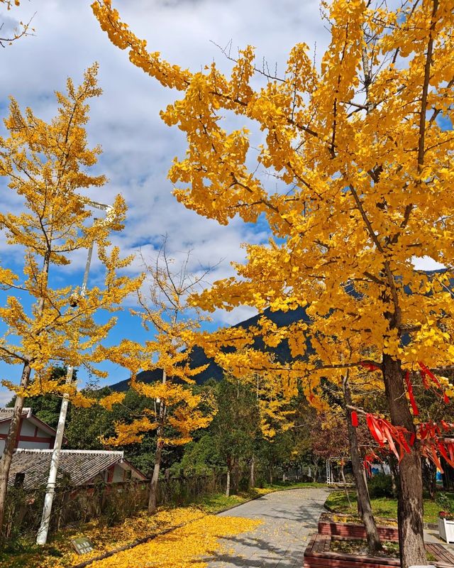 一座因為靈驗而聲名大噪的寺廟靈山寺。