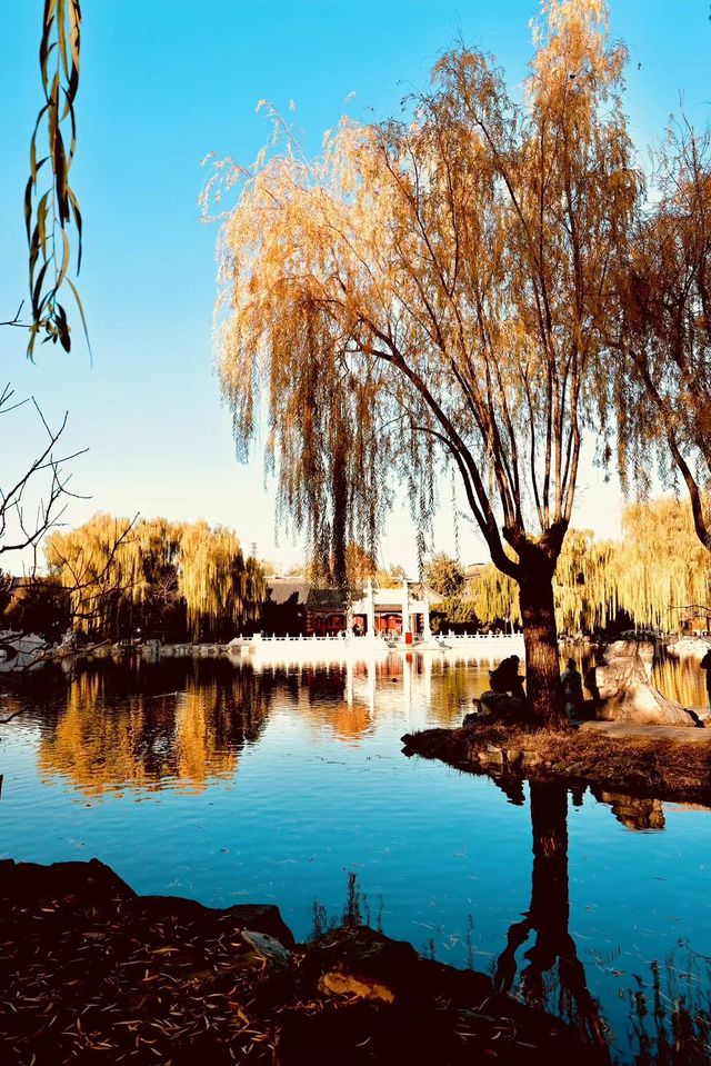 暖陽下的大觀園，一幅寧靜而美麗的畫面！。