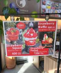 Departing from Nagoya: Inuyama and Seto One-Day Private Car Tour