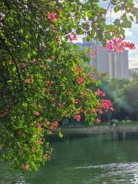 廈門南湖公園。