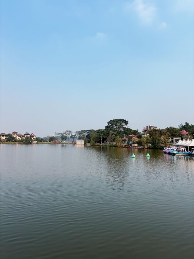 不在奈良！在佛山！無濾鏡！仙境般的莫奈花園。