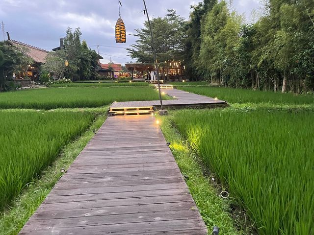 烏布阿賴耶度假村｜田園風情