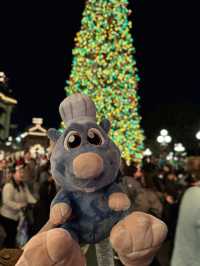 A Day at California Disneyland: 16 Rides and More!