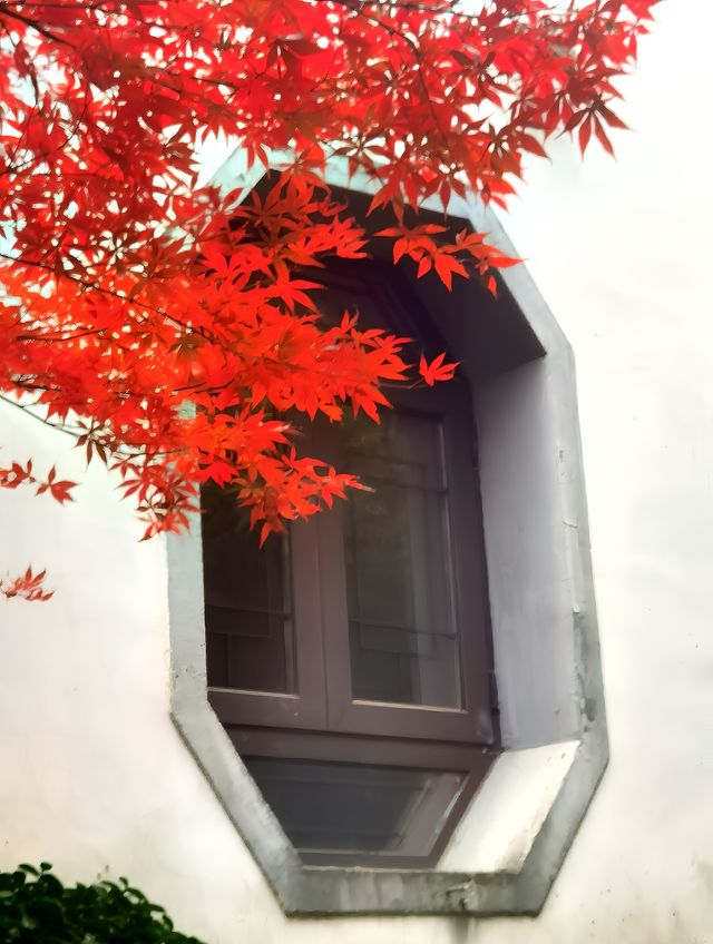南京小眾賞秋處|清涼山公園 南京小眾賞秋處|清涼山公園