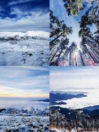 秦嶺超美雪季到了，你還不來