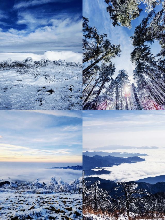 秦嶺超美雪季到了，你還不來