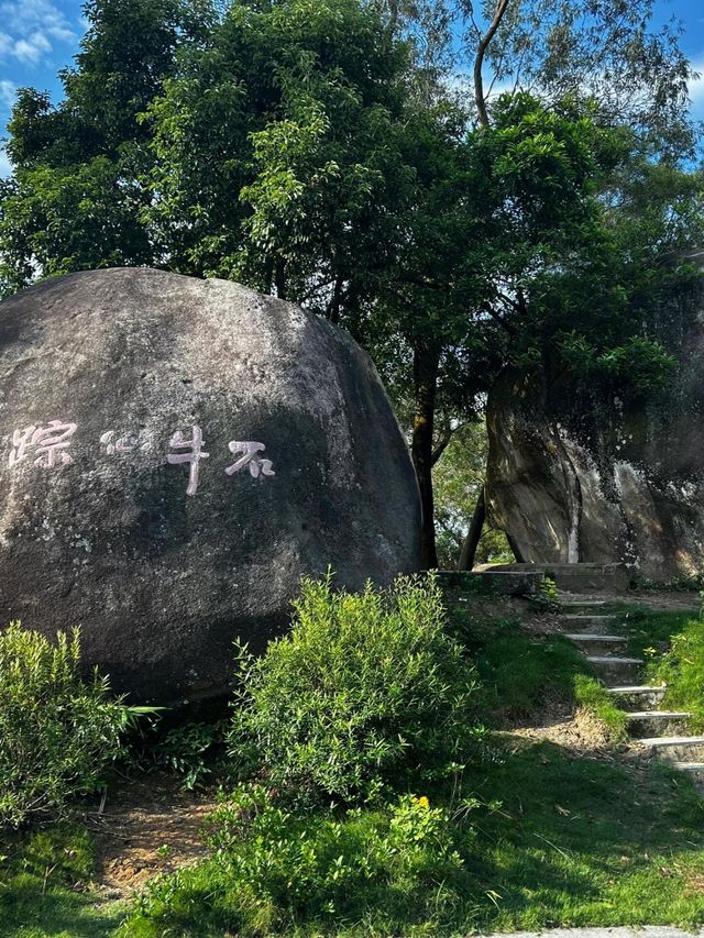 探索天然氧吧，週末好去處！