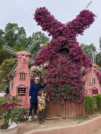 深圳蓮花山公園親子遊體驗之旅