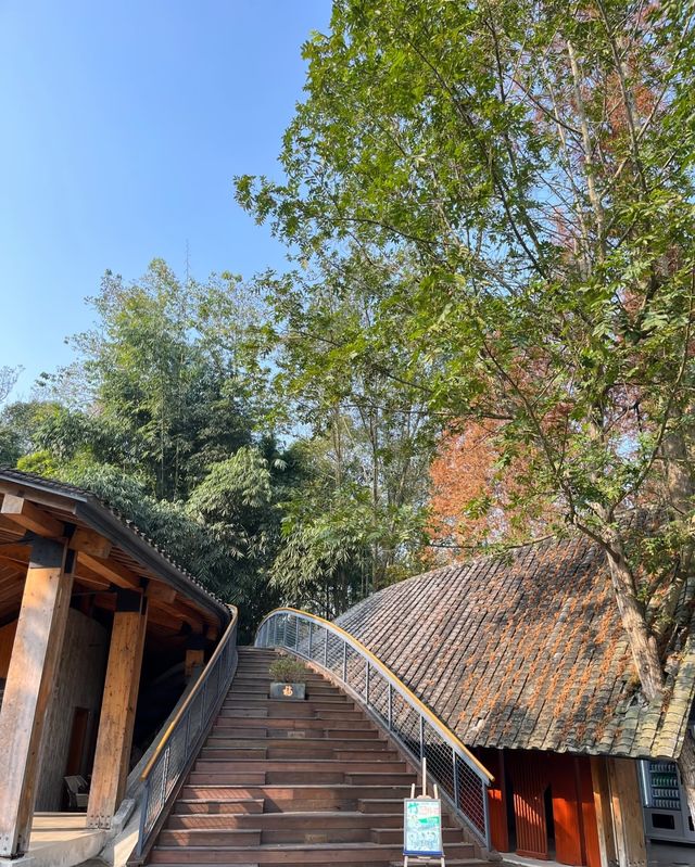 道明竹藝村，邂逅自然與藝術的詩意之地