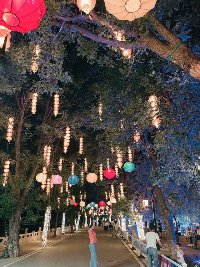 在滄州園博園內，領略不同美景