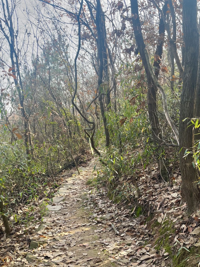 登高迎新歲，徒步海鹽南北湖