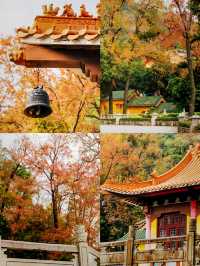 廣州周邊遊