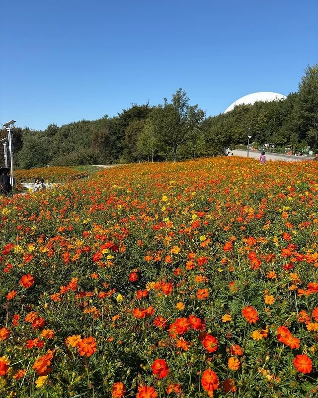 "未來與自然交織：愛・地球博紀念公園的綠色奇蹟" 