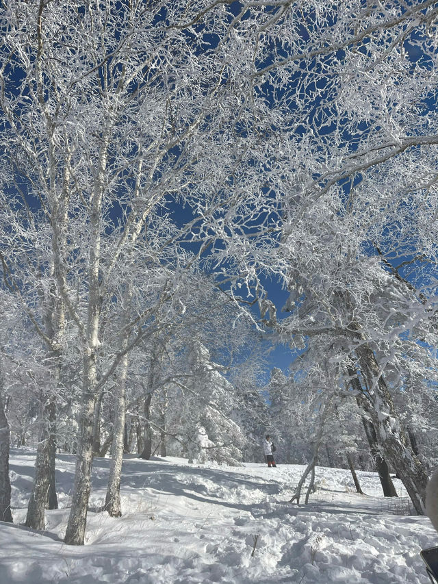 黑龍江的「富士山」，像是走進了林海雪原的夢裏