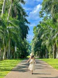 Explore the Royal Botanical Gardens in Kandy, Sri Lanka