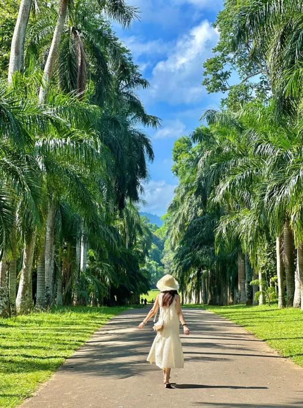 Explore the Royal Botanical Gardens in Kandy, Sri Lanka