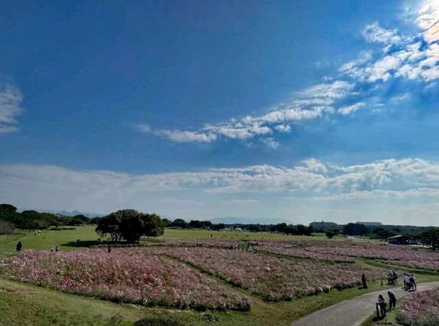 海之中道海濱公園
