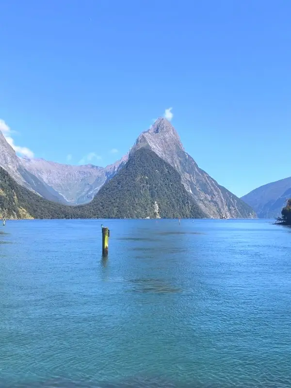 Great Places to Visit for the New Year: 12-Day New Zealand Travel Guide