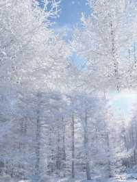 白雪、冰晶、霧凇、大風車，包你一個冬天不後悔！