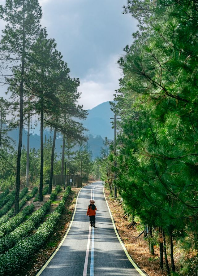 住進帳篷裡在安吉的山野 吸氧過冬
