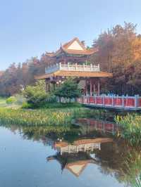 蛇年添喜慶一一東山湖公園！