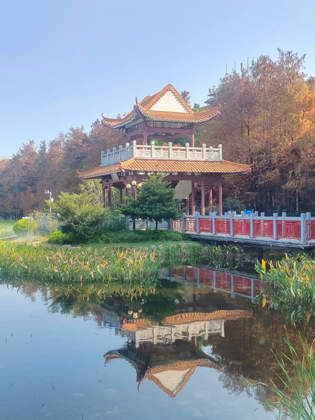 蛇年添喜慶一一東山湖公園！