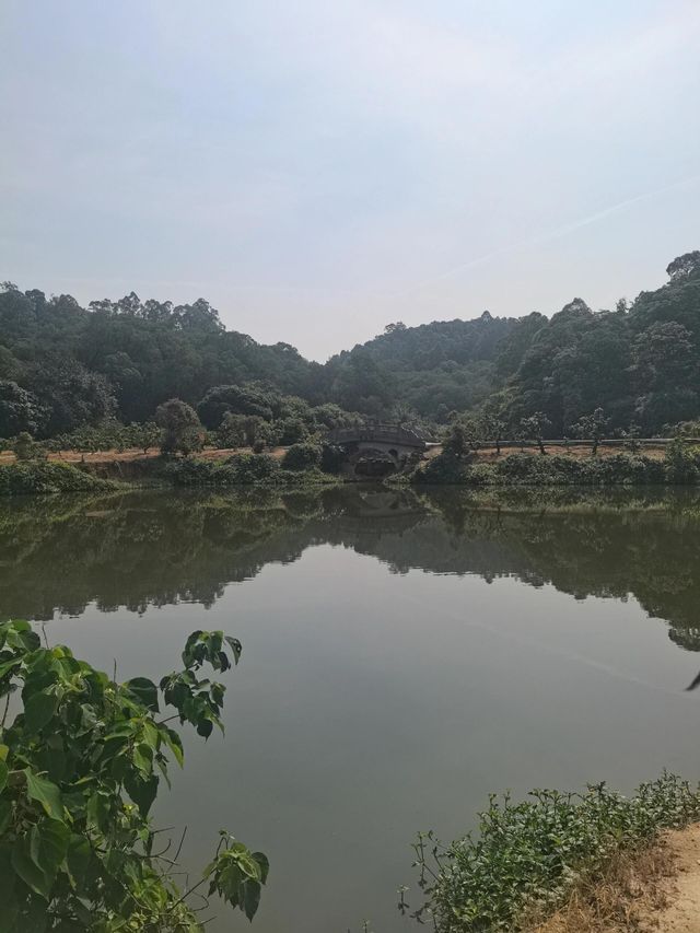 廣東佛山南國桃園|隱藏在佛山南海的『世外桃源』