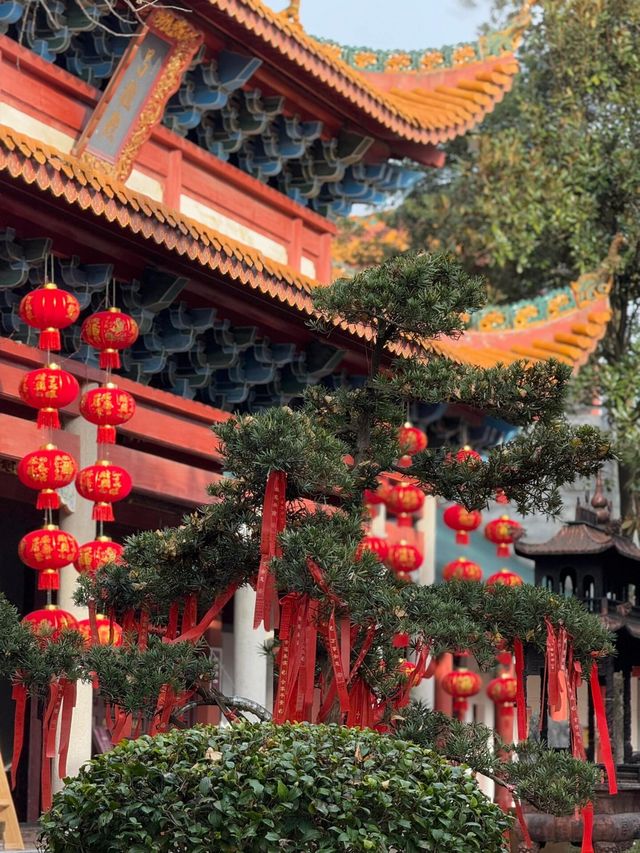 湖南呢座被低估嘅小眾城市，所有景點都免費