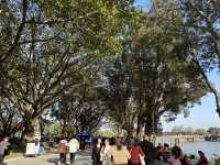揭陽西湖公園