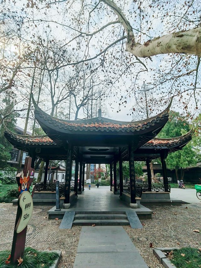 衢州孔子文化公園，古城之源，文化聖地
