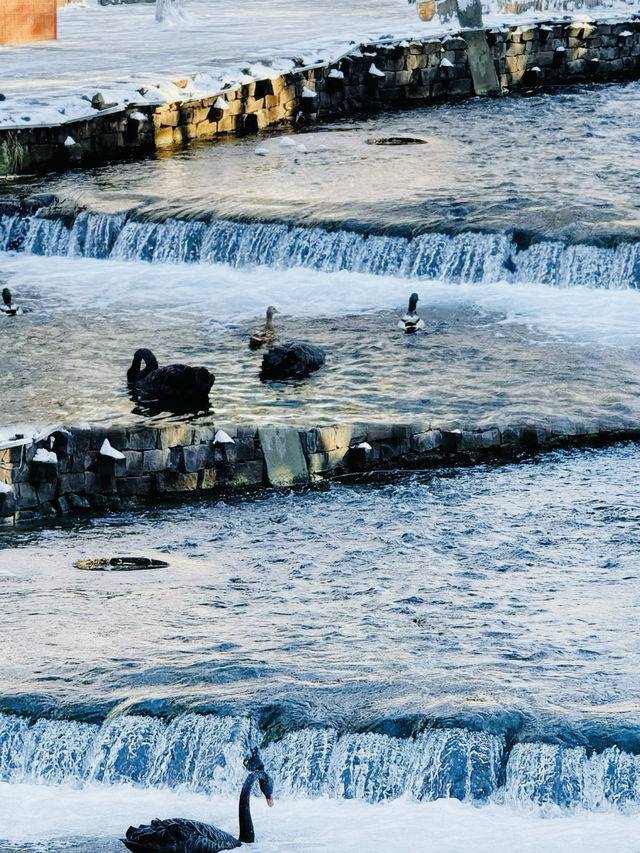 烏魯木齊的江南水鄉/ 水磨溝公園