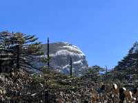 春節去昆明轎子雪山，開啟冰雪奇緣之旅！