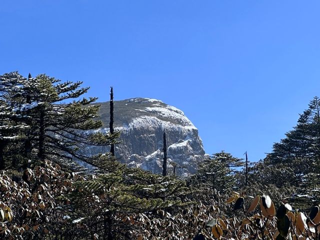春節去昆明轎子雪山，開啟冰雪奇緣之旅！