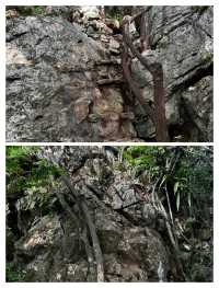 亞羅士打象嶼山，城郊的隱秘登山寶藏。