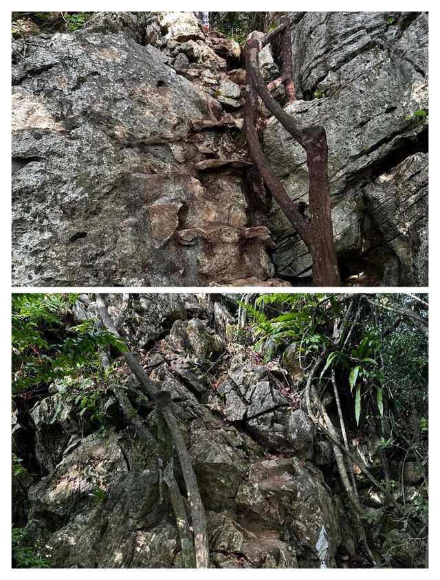 亞羅士打象嶼山，城郊的隱秘登山寶藏。