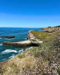 沙特阿拉伯阿爾科巴爾胡拜爾島——隱秘的海島天堂