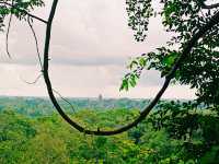 Honey Moon in Siem Reap: Sweet Journey To The Realm of Charm