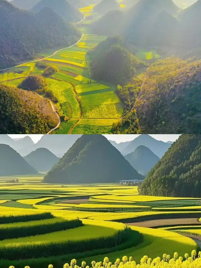 I'm back from Luoping, and it was a tough trip. Sisters who plan to go should think twice because...