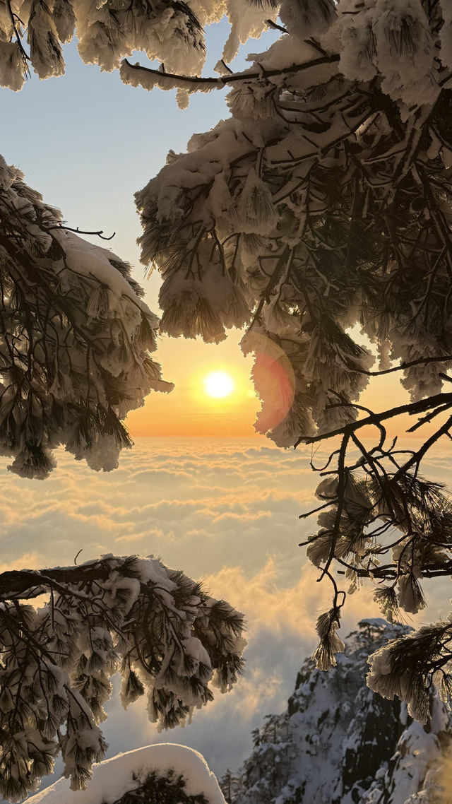 遠赴人間驚鴻宴,黃山雲海日出 遠赴人間驚鴻宴,黃山雲海日出